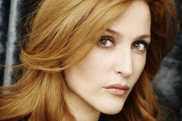 Джиллиан Андерсон сыграет в следущей части "Секретных материалов"