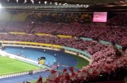 Во время футбольного матча болельщики Австрии поддержали Украину (ВИДЕО)