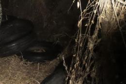 В Сумской области пограничники обнаружили покрышки к военному истребителю МИГ-25