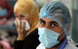 Новый случай гибели человека от вируса "свиного гриппа" зафиксирован в Египте