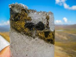 Ученые разморозили древний вирус и заразили им растение