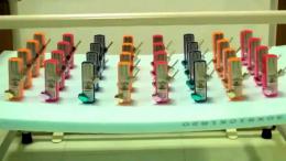 Стадное чувство, или закон синхронизации на примере метрономов (ВИДЕО)