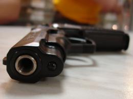 Вскоре парламент рассмотрит законопроект о ношении огнестрельного оружия