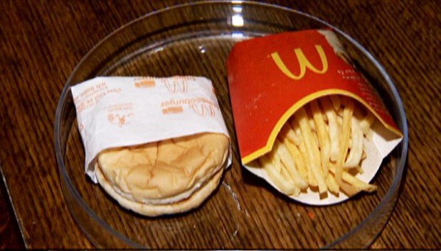 McDonald’s: как выглядит еда спустя 6 лет (ФОТО)