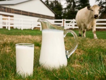 10 отрицательных фактов о вкусных продуктах (ФОТО)