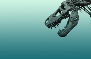 В Северной Каролине нашли останки доисторического крокодила