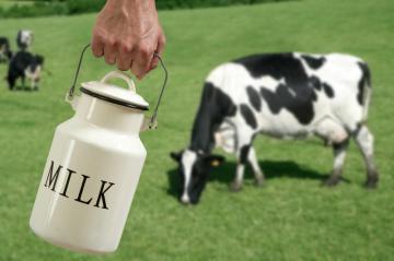 Сырое молоко таит смертельную опасность