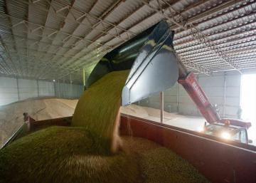 Украина демонстрирует высокие показатели в экспорте зерновых