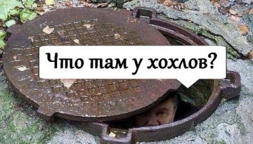 Российские соцсети взорвал новый хештег #четамухохлов (ФОТО)