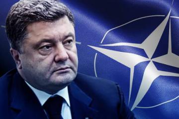 Порошенко проведет референдум о присоединении Украины к НАТО