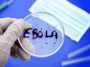 Эбола побеждена. Американские ученые создали лекарство