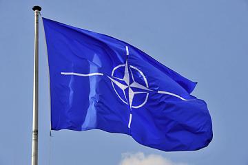 В связи с агрессией России привлекательность НАТО  резко возросла – украинский социолог