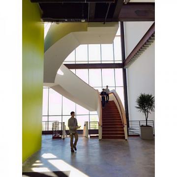 На крыше нового главного офиса Facebook расположен парк из 400 деревьев