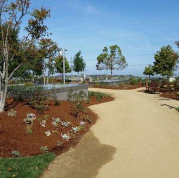 На крыше нового главного офиса Facebook расположен парк из 400 деревьев