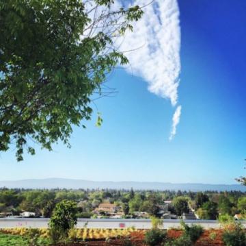 На крыше нового главного офиса Facebook расположен парк из 400 деревьев