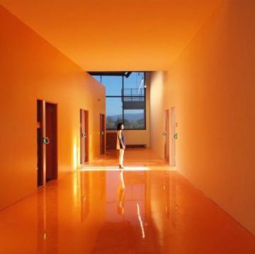 На крыше нового главного офиса Facebook расположен парк из 400 деревьев