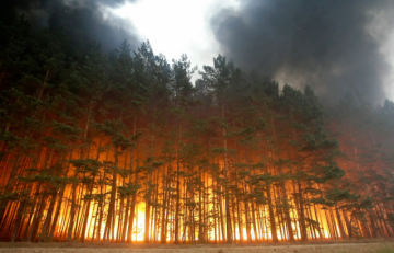 Площадь лесных пожаров в Забайкалье увеличилась в 3 раза