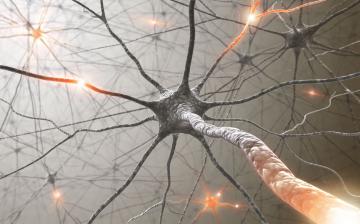 Ученые выяснили причину развития рассеянного склероза