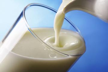 В Украине зафиксировали падение производства молока