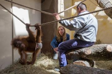 На Киевщине открылся новый зоопарк (ФОТО)