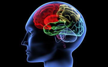 Исследователи нашли связь между продуктивностью памяти и сотрясениями мозга