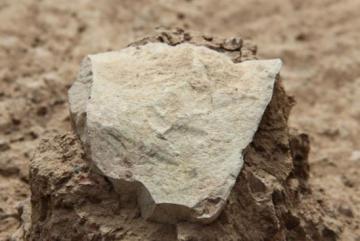 Археологи обнаружили самые древние орудия труда