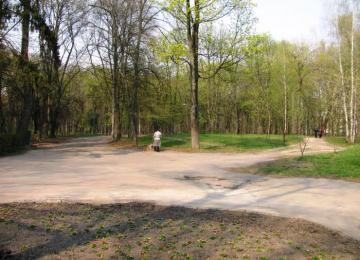 Ко Дню города киевская власть пообещала отреставрировать несколько парков