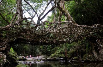 Удивительный симбиоз человека с силами дикой природы (ФОТО)