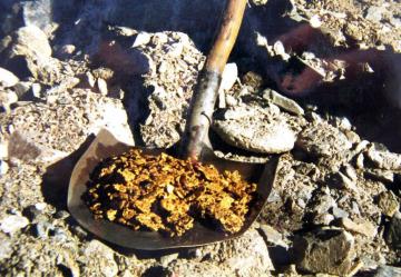 На Алтае нашли 22 тонны золота