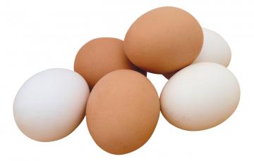 Яйца могут защитить от диабета