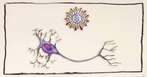 Коварство герпеса (ФОТО)