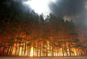 В России буйствуют пожары. Сибирь в огне