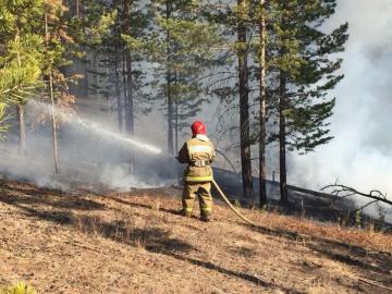 Все очаги лесных пожаров в Бурятии локализованы