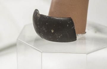 Археологи обнаружили самое древнее ювелирное изделие (ФОТО)