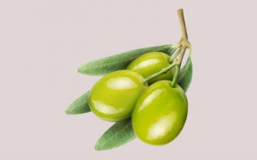 Орудия шпионов прошлых веков (ФОТО)