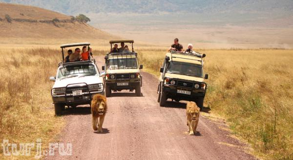 Танзания, или «Ноев ковчег» по-африкански (ФОТО)