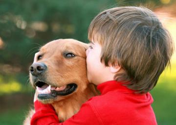 Домашние животные положительно влияют на детей с аутизмом