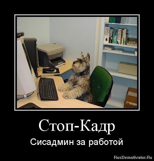 А ты поздравил сисадмина? Интересные факты о новой профессии (ФОТО)