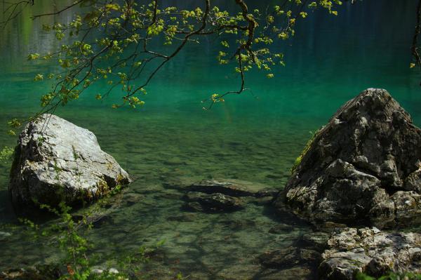 Кристально чистое озеро Кёнигзее (ФОТО)