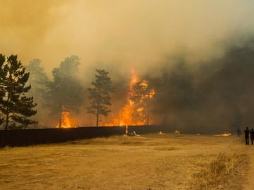 В Беларуси начали ощущать последствия пожаров возле ЧАЭС