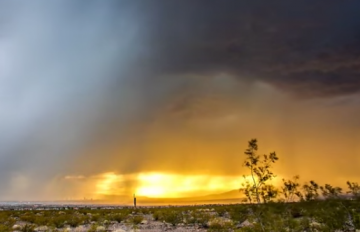 Мощь и красота природы: грозовая буря в Лас-Вегасе (ВИДЕО)
