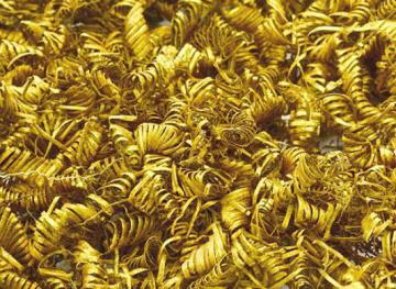 В Дании археологи обнаружили 2000 таинственных золотых спиралей (ВИДЕО)