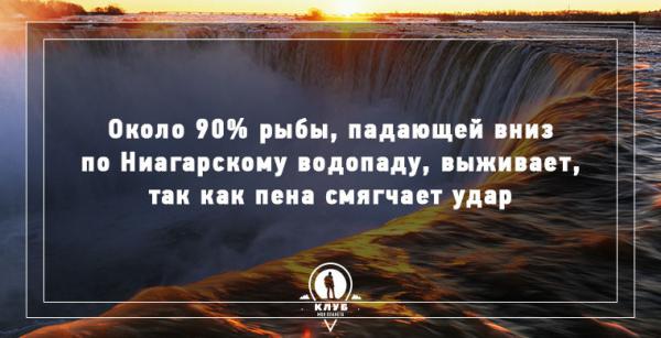 8 интересных фактов про морских обитателей (ФОТО)