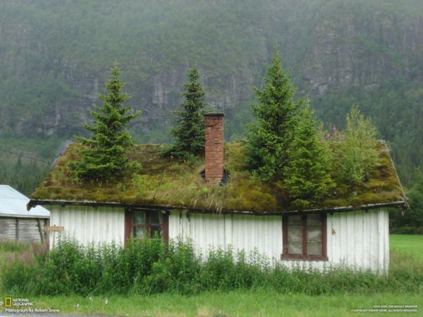 Архитектура Норвегии - сказка, воплощенная в жизнь (ФОТО)