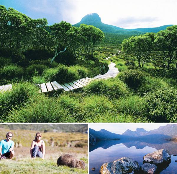 Самые безумные дороги, по которым стоит пройти хотя бы раз в жизни (ФОТО)