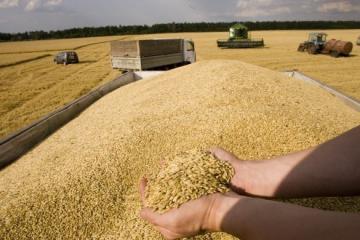 Украина стала мировым лидером по экспорту зерна