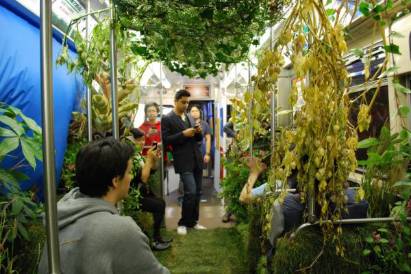 Мобильный сад в чикагском метро (ФОТО)