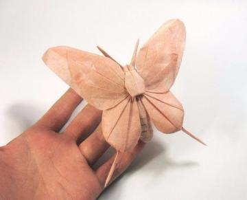 Мастер оригами из Ханоя создает настоящие произведения искусства (ФОТО)