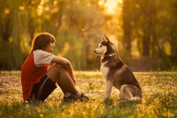 Ученые объяснили, почему собаки стали лучшими друзьями человека