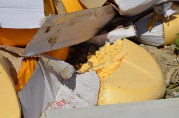 В России закатали в землю 10 тонн сыра (ФОТО)